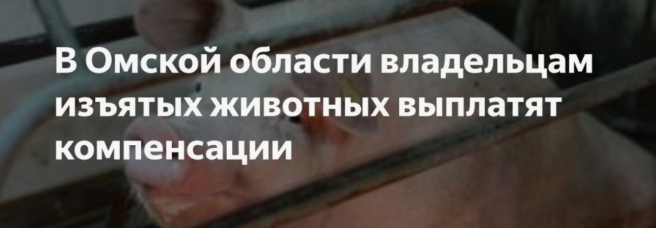 news-8